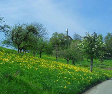Landgasthof Hirschen Albbruck Exterior photo